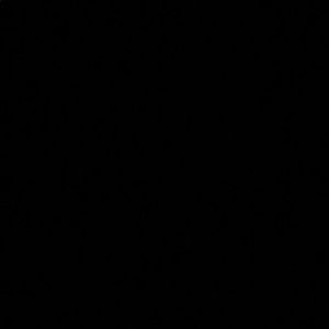 Meet your Posher, Shana